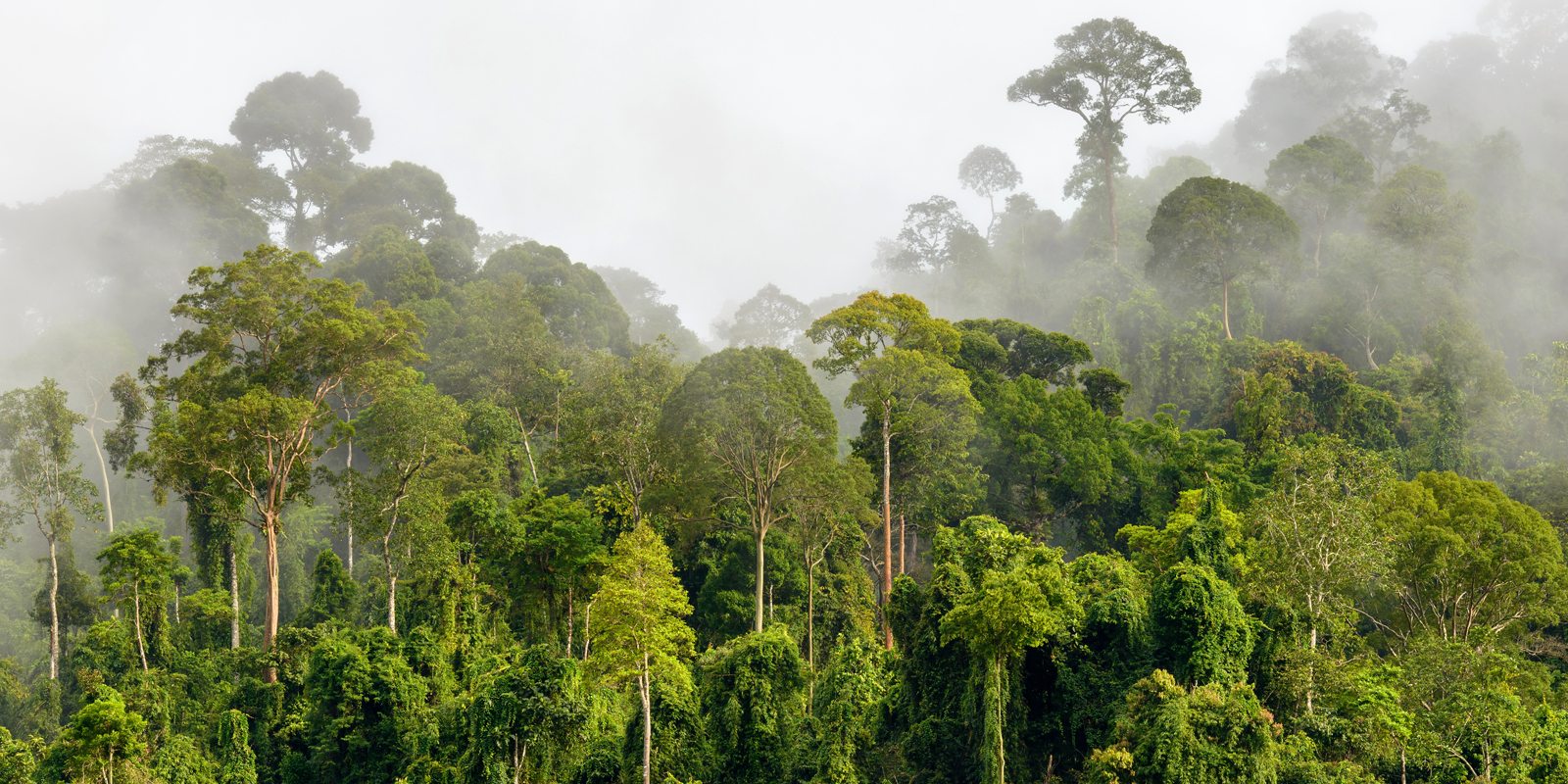 Eco Concerns