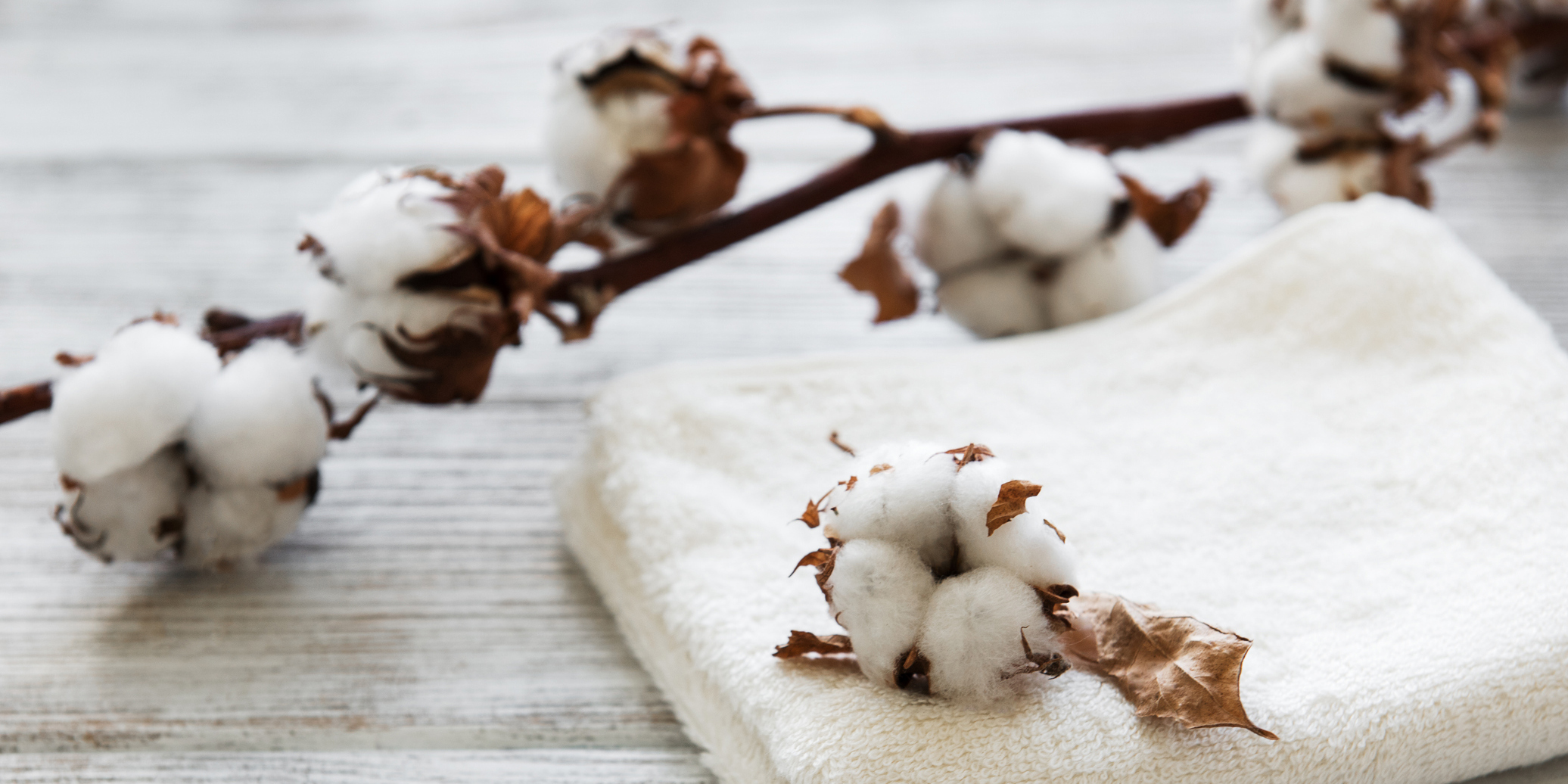 How Conventional Cotton Can Organically Meet Consumer Desires