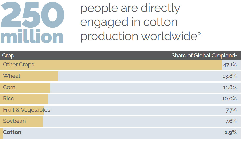 Worldwide Cotton Production Infographic