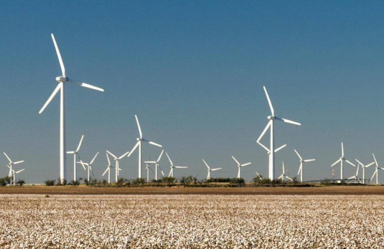 Windmills in a Cotton Field