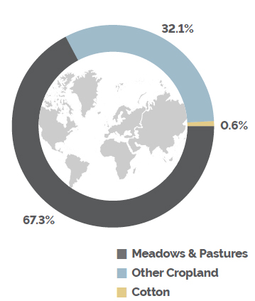 Globe Infographic