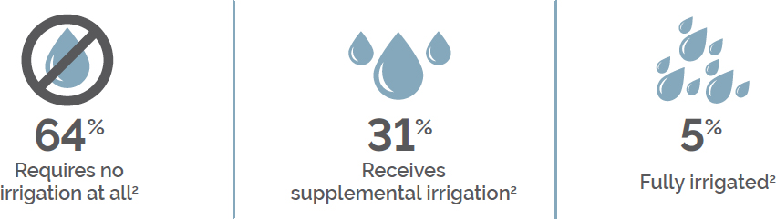 Waterdrop Infographic