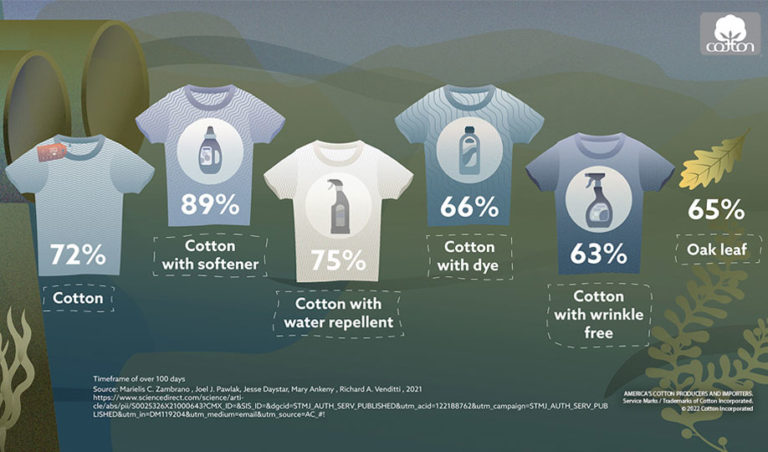 T-Shirt Infographic