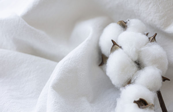 Here’s Why Brands Are Leaning Into Natural Fibers - Cotton Incorporated ...