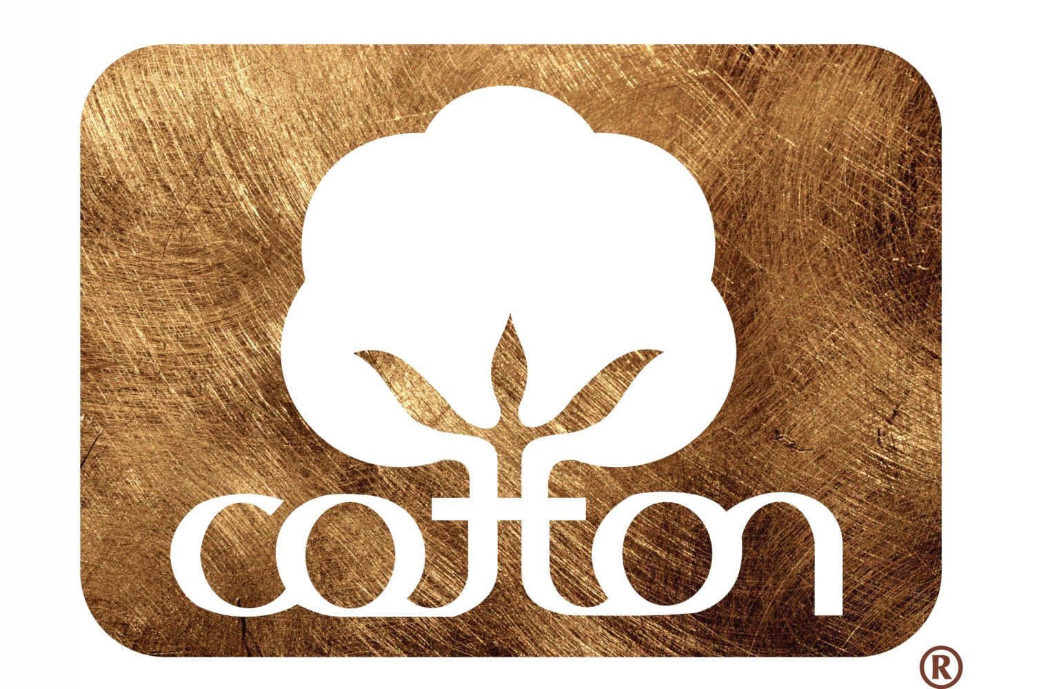 Women Continue to be Differencemakers in the Fabric of Cotton